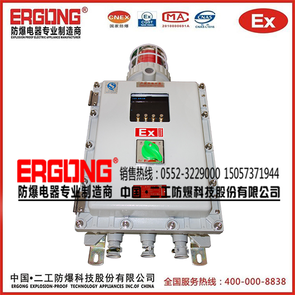 專業(yè)生產防爆儀表箱