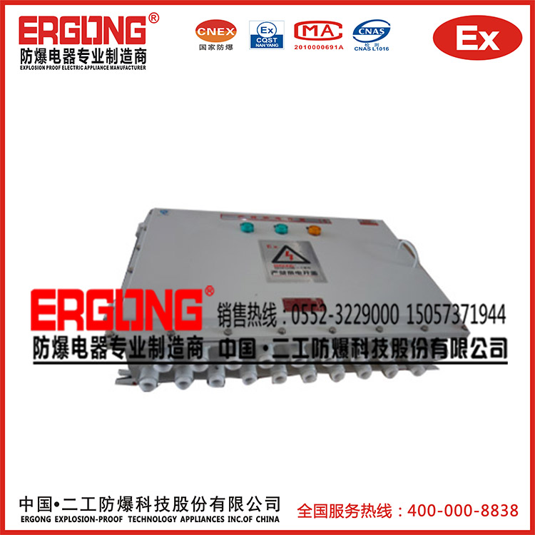 專業非標定做防爆柜防爆配電箱