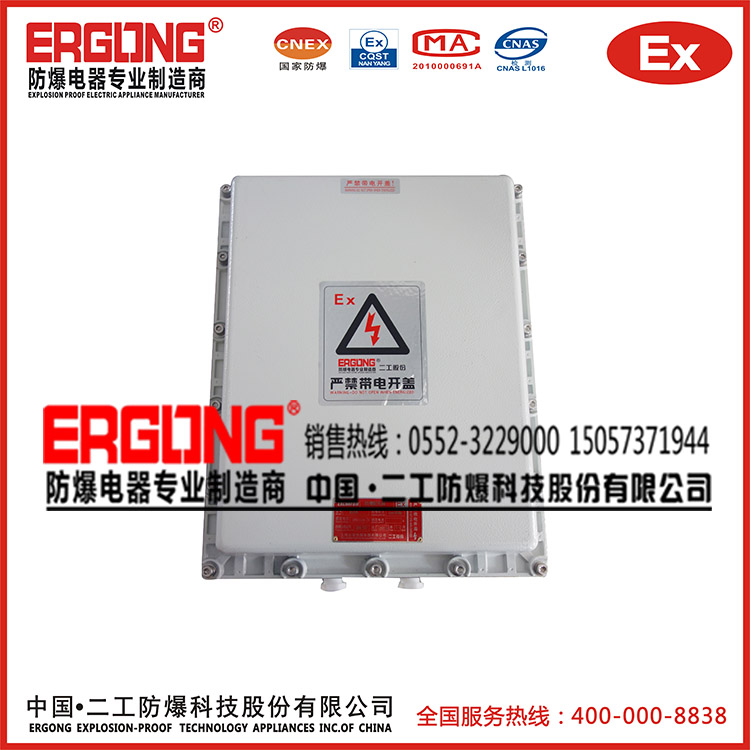 二工防爆配電箱專業團隊優質材質