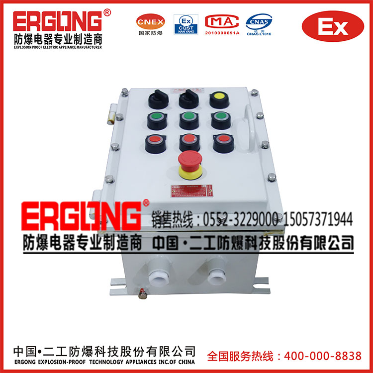 專業生產各種非標防爆配電箱廠家