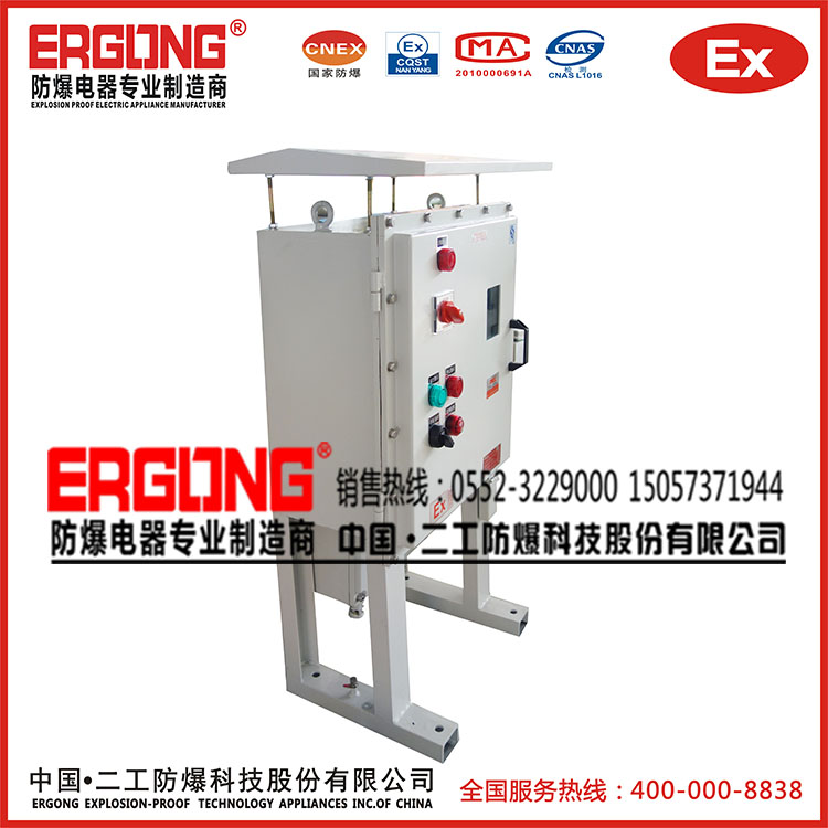 二工防爆獨特設計防雨罩配電柜