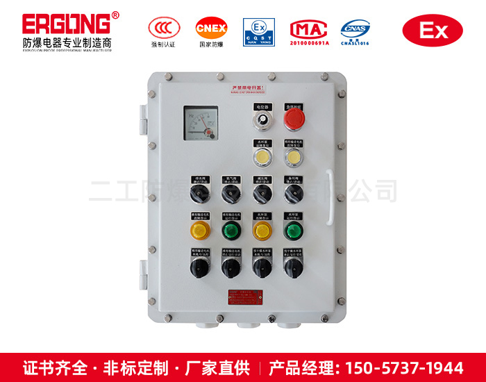 粉塵環境防爆開關電源箱