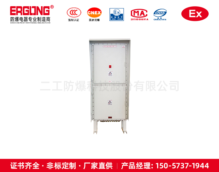 雙隔爆箱體上下結構控制箱