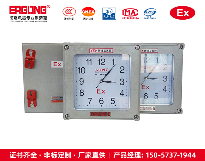 化工醫(yī)藥危險(xiǎn)區(qū)專用防爆石英鐘